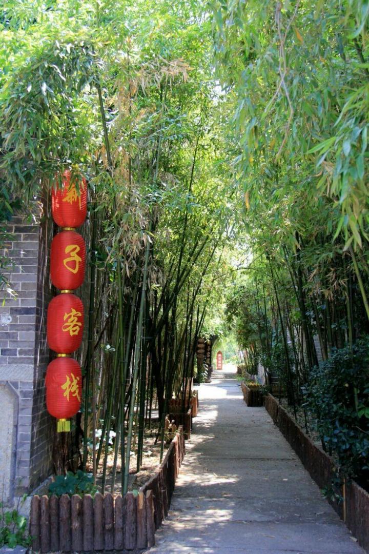 枣庄自驾游论坛