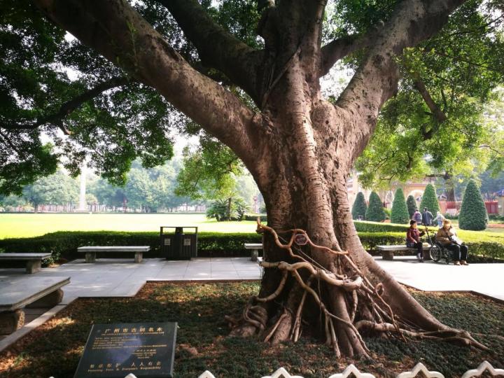 中山纪念堂是广州著名的地标,一座气势宏伟的八角形宫殿式建筑-广州