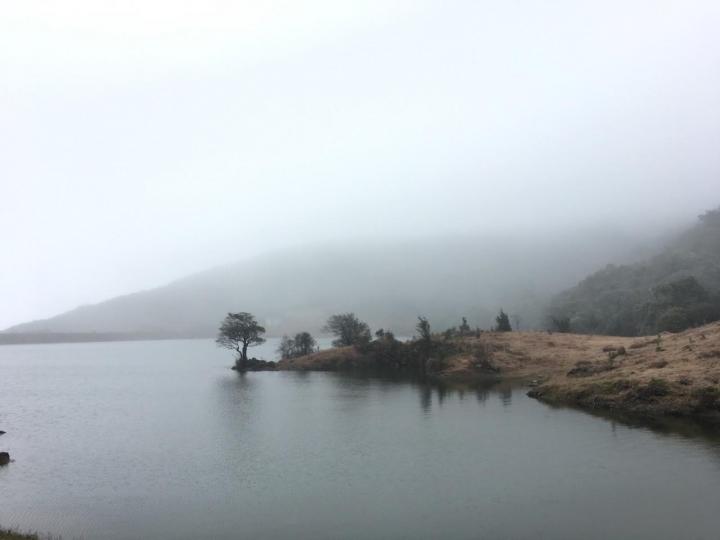 大容山莲花景区