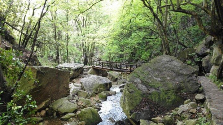 鸡公山国家级自然保护区