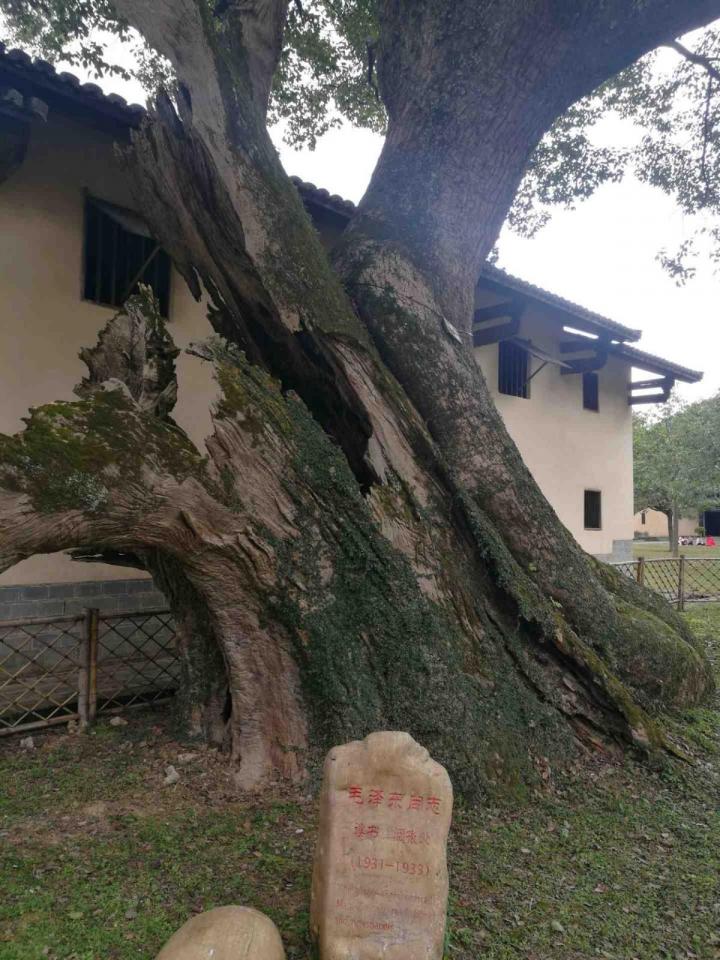 叶坪红色旅游景区位于瑞金市叶坪乡叶坪村,距瑞金市中心区6公里-瑞金