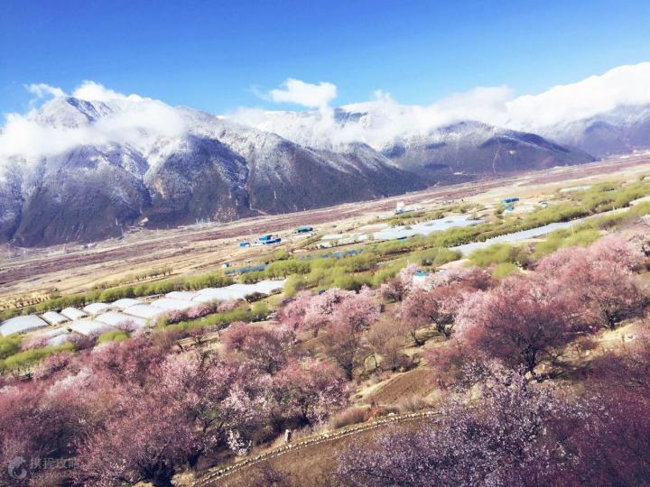 林芝嘎拉桃花村很美,圣洁的雪山倒映在明丽清澈的尼洋河中,人们-林芝