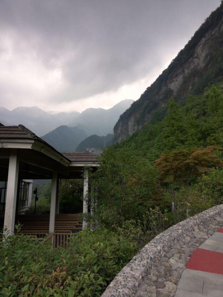 金佛山