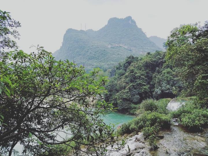 大新自驾游论坛