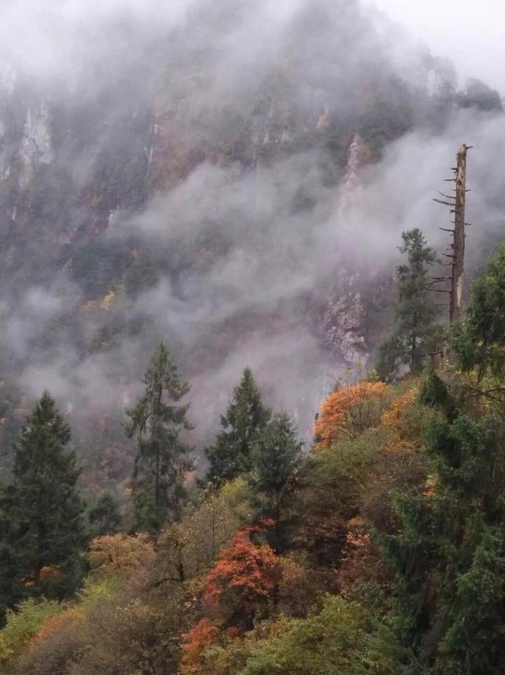 观看彩林与红石是燕子沟景区的亮点。游玩