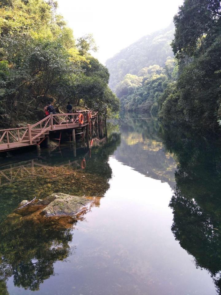 肇庆自驾游论坛