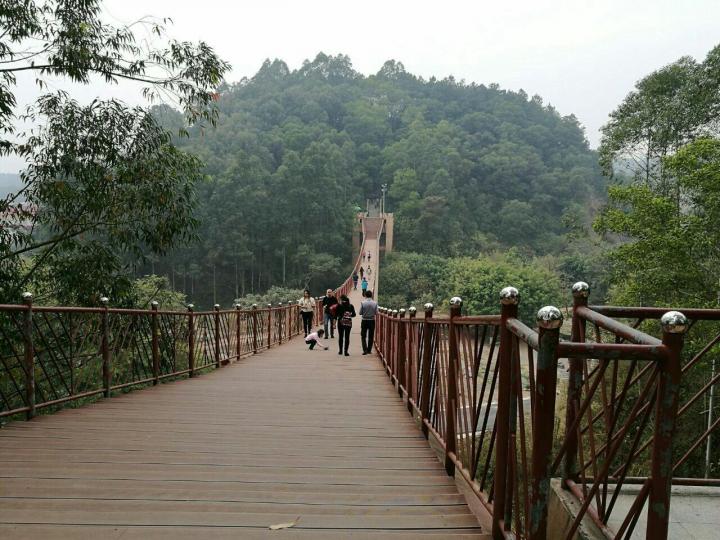 几个生物设计到一个主题公园里,百色起义纪念七下景点优化整合答案答案版人教图片