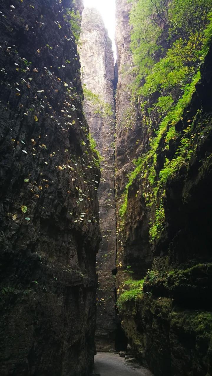 百里峡是游玩野三坡必去的景点,整个峡谷生态环境原始自然,空气-涞水