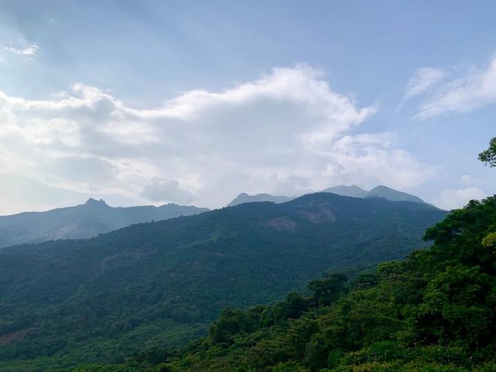 罗浮山门票43,进去有入口到狮子山的电频车.