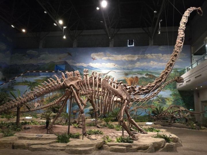 自贡恐龙博物馆就在自贡城边上,到了自贡还是值得一去的.