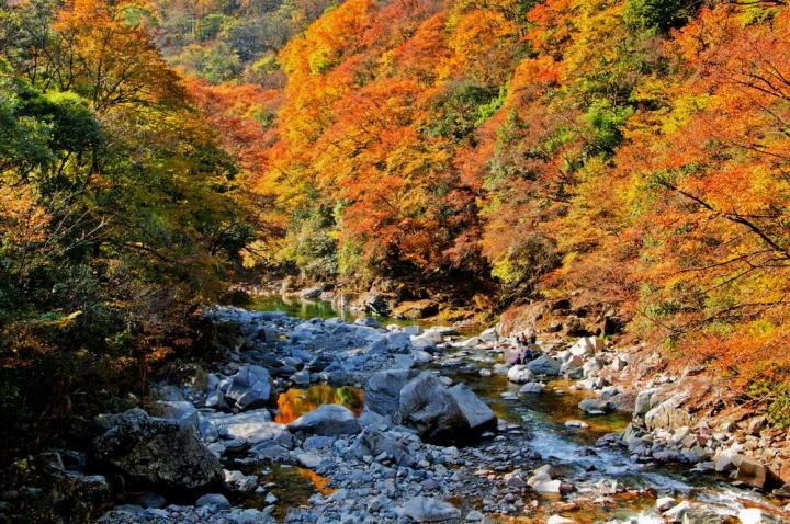 光雾山最佳旅游季节是秋季,每年10月下旬至11月中旬漫