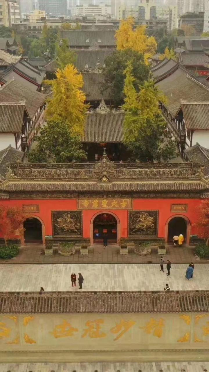 大慈寺是城区里面的庙子,在这深秋时节确实是漂亮,古银杏树的叶-成都