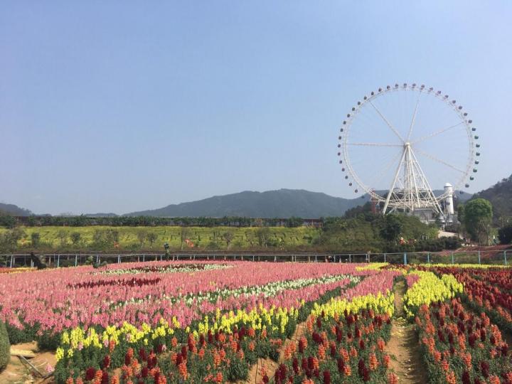 揭阳望天湖景区景色挺美的,我们3月份自驾游过去的,表