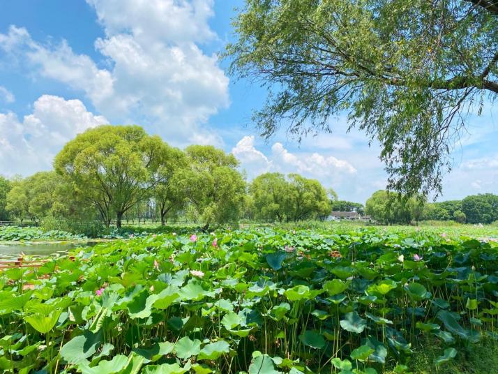 荆州洪湖蓝田生态旅游区