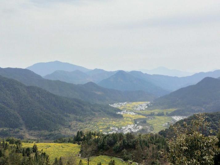 婺源江岭景区好玩吗