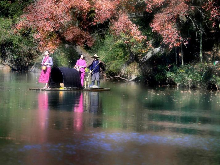 宣城寧國紅杉林景區(qū)圖片