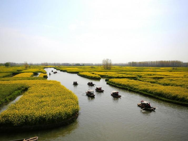 興化興化千垛油菜花景區(qū)好玩嗎